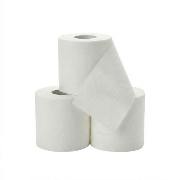 Colis papier toilette Tissu DE-LUXE 72 rouleaux Colis papier toilette Tissu DE-LUXE 72 rouleaux