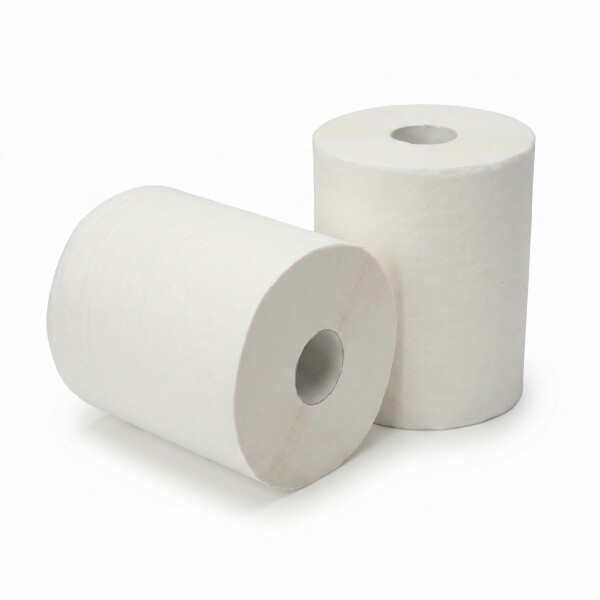 JUMBO Papierrollen 2-lagig 28 cm 650 m - Rallopack Schweiz