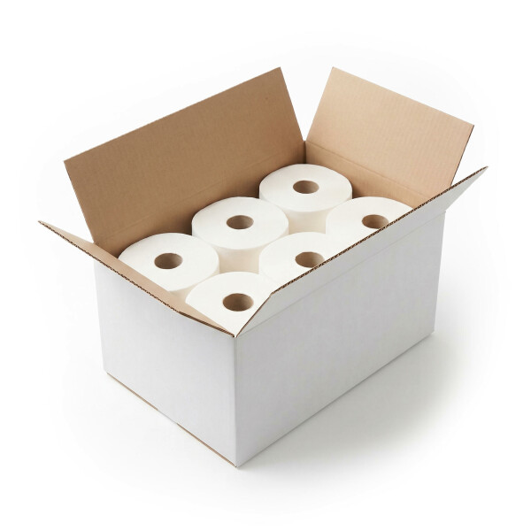 Rouleaux d'essuie-tout RALLO - boite de 6 rouleaux - 20 cm de large Rouleaux d'essuie-tout RALLO - boite de 6 rouleaux - 20 cm de large