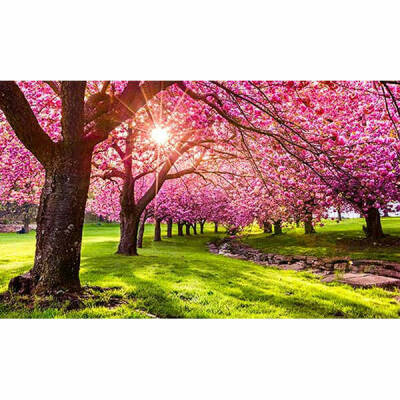 Fruehling