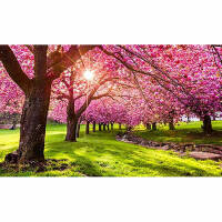 Fruehling