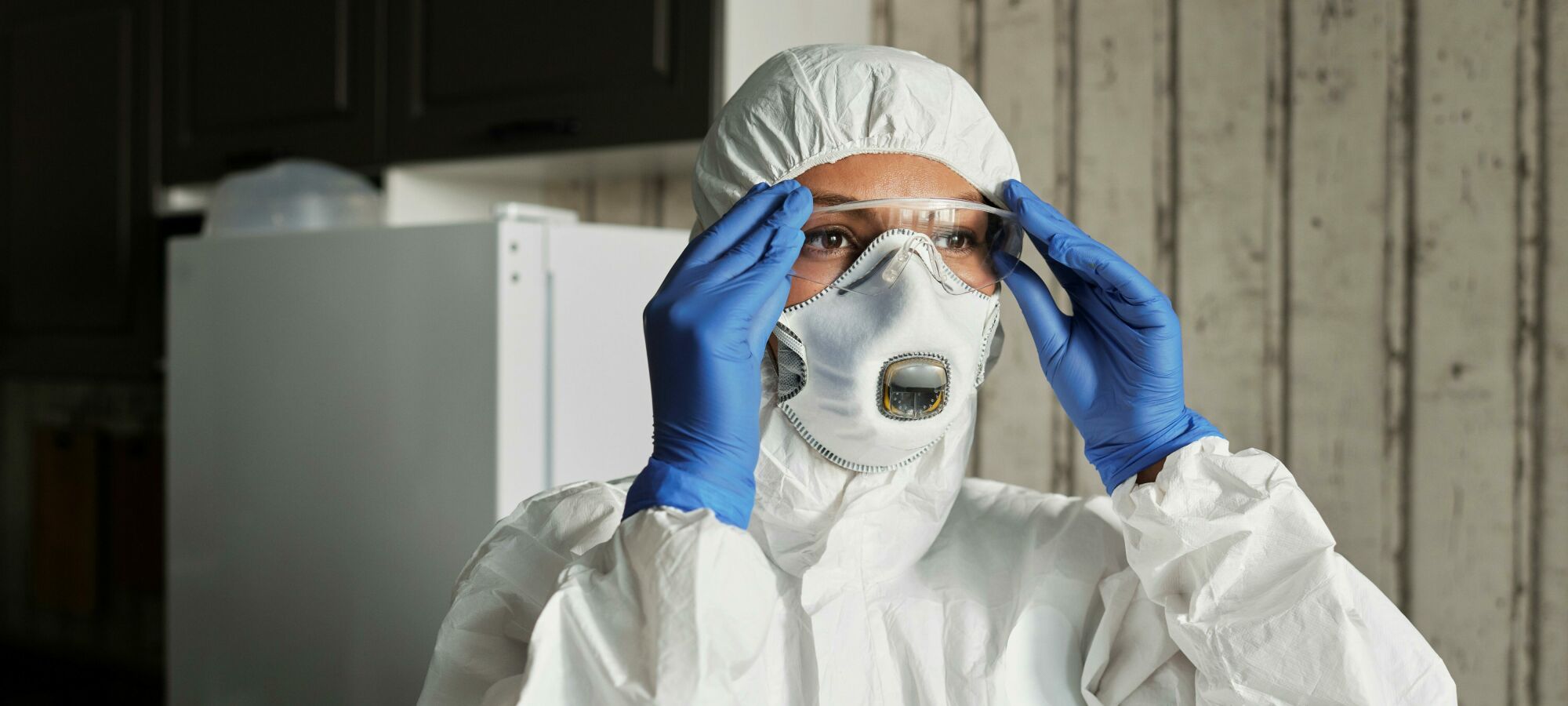 pexels matilda wormwood 4097270