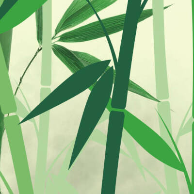 Titel BambooSoft F