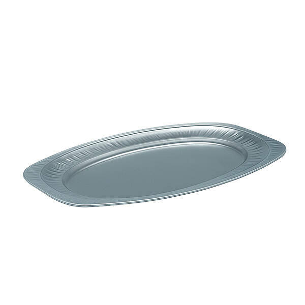rallopack alu platte 30x45cm silber oval